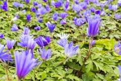 20220429-_JPallen_4041-hdr