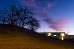 A splash in the morning light