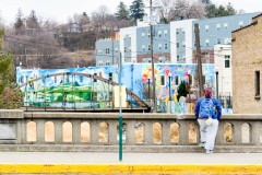 Winter-Summer Dreams