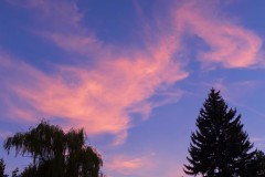 20141005-jpallen_com-DSCF2256