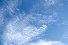 20250104-jpallen_com-IMG_3618