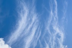 20250313-jpallen_com-IMG_4380