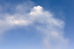 20250424-jpallen_com-IMG_4817