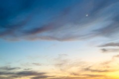 20250529-jpallen_com-IMG_5242