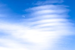 20250602-jpallen_com-IMG_5265