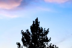 20250610-jpallen_com-IMG_5306