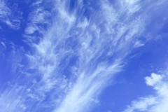 20250627-jpallen_com-IMG_5480