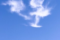 20250803-jpallen_com-IMG_5960