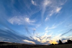 20250817-jpallen_com-IMG_6068