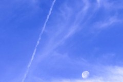 20251108-jpallen_com-IMG_7213