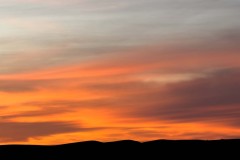 20251121-jpallen_com-IMG_7278