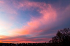 20251121_jpallen_7290