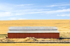 20260908_jpallen_IMG_0919