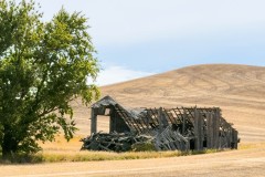 20260908_jpallen_IMG_0921