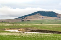 jpallen-IMG_8640