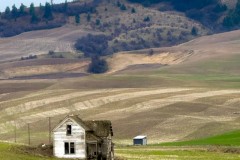 jpallen_IMG_8630