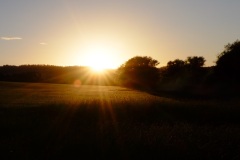 jpallen_com_-DSCF4266