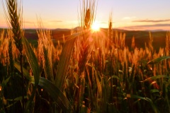 jpallen_com_-DSCF4390