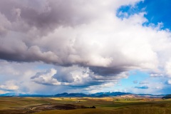 jpallen_com_-DSCF6583