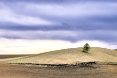 jpallen_com_-IMG_7508