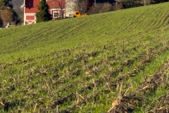 jpallen_com_-IMG_7535