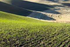 jpallen_com_-IMG_7545