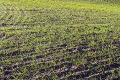 jpallen_com_-IMG_7546