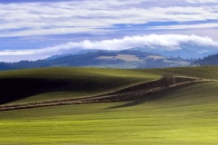 jpallen_com_-IMG_7568