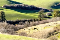 jpallen_com_-IMG_7574