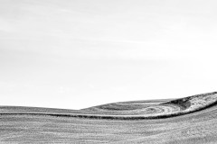 Swirls from harvest on the Palouse, WA