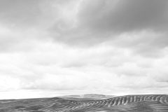 Plow lines on Palouse hills under a cloudy sky - black and white