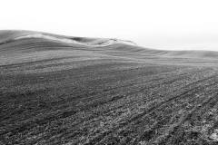Gentle rolling of Palouse hills, plowed in winter - black and white
