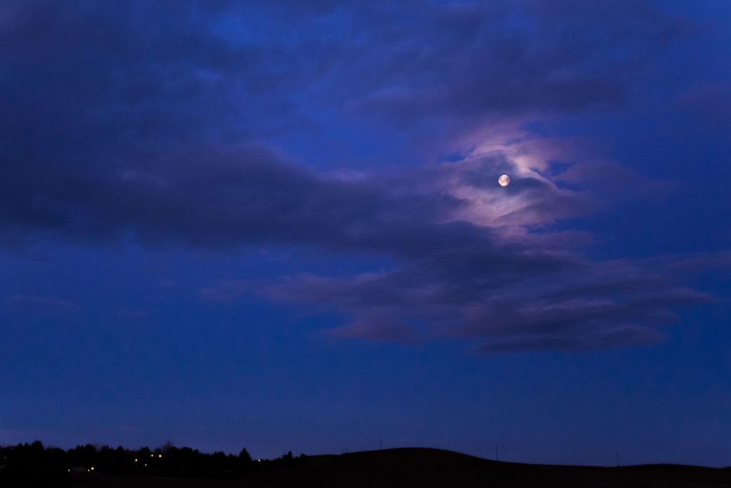 Image - Morning walk in light