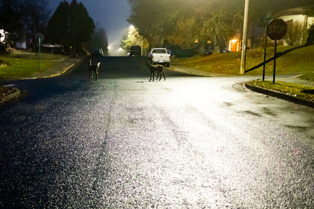 Image - Before thought