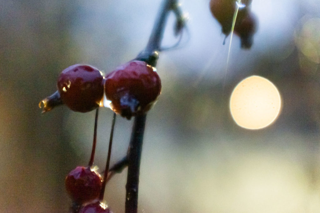 Image - Moon Sun Fading