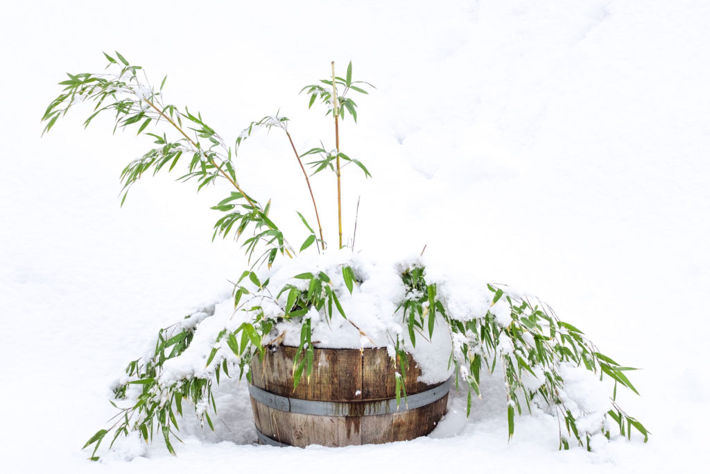 Image - Sitting quietly itself