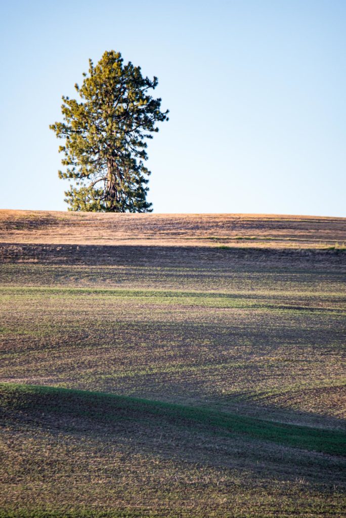Image - warm spring evening