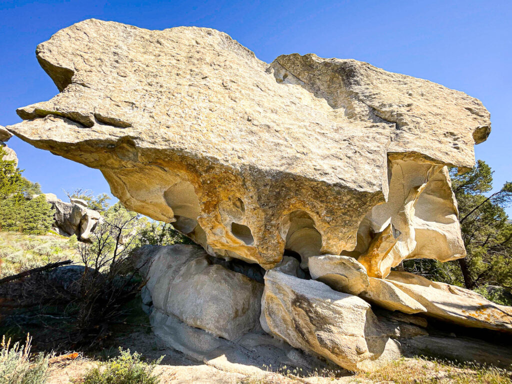 Below hardened shell | waters winds seep in shadows | light in pinhole gaps
