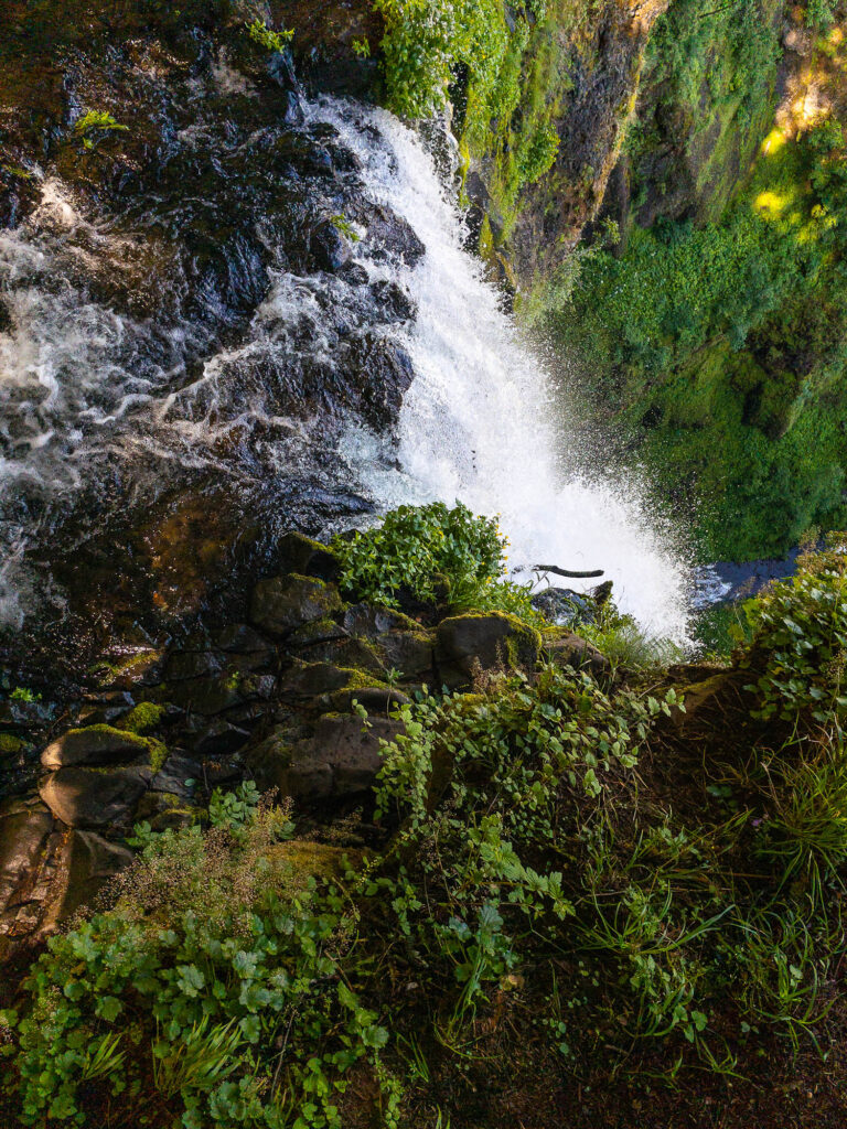 Spilling out freely water's sparkling gemstones I splash sleepy eyes