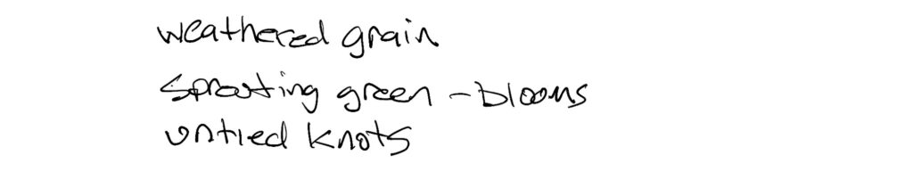 Haiku,
weathered grain
sprouting green -blooms
untied knots