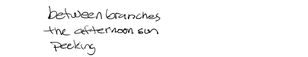 A Haiku,
between branches
the afternoon sun
peeking