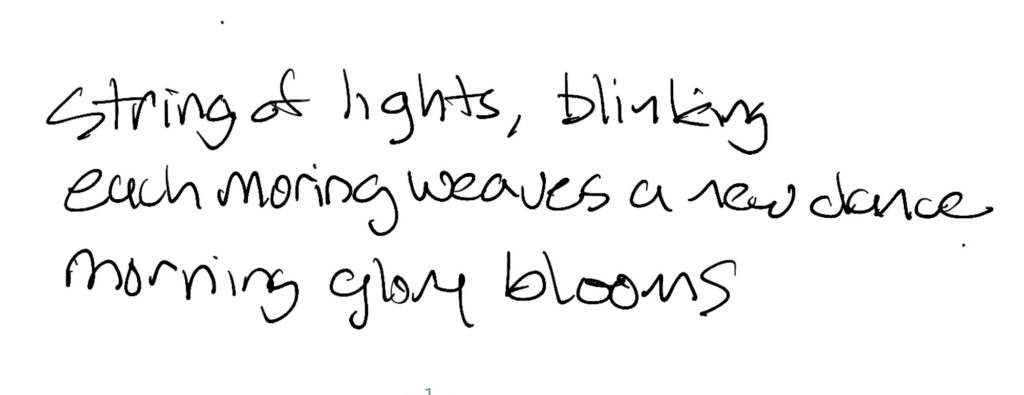Haiku;
string of lights, blinking
each morning weaves a new dance 
morning glory blooms
