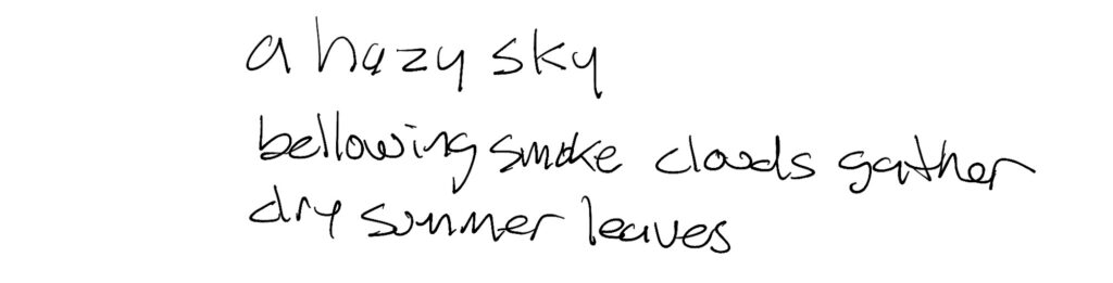 Haiku;
a hazy sky
bellowing smoke clouds gather
dry summer leaves