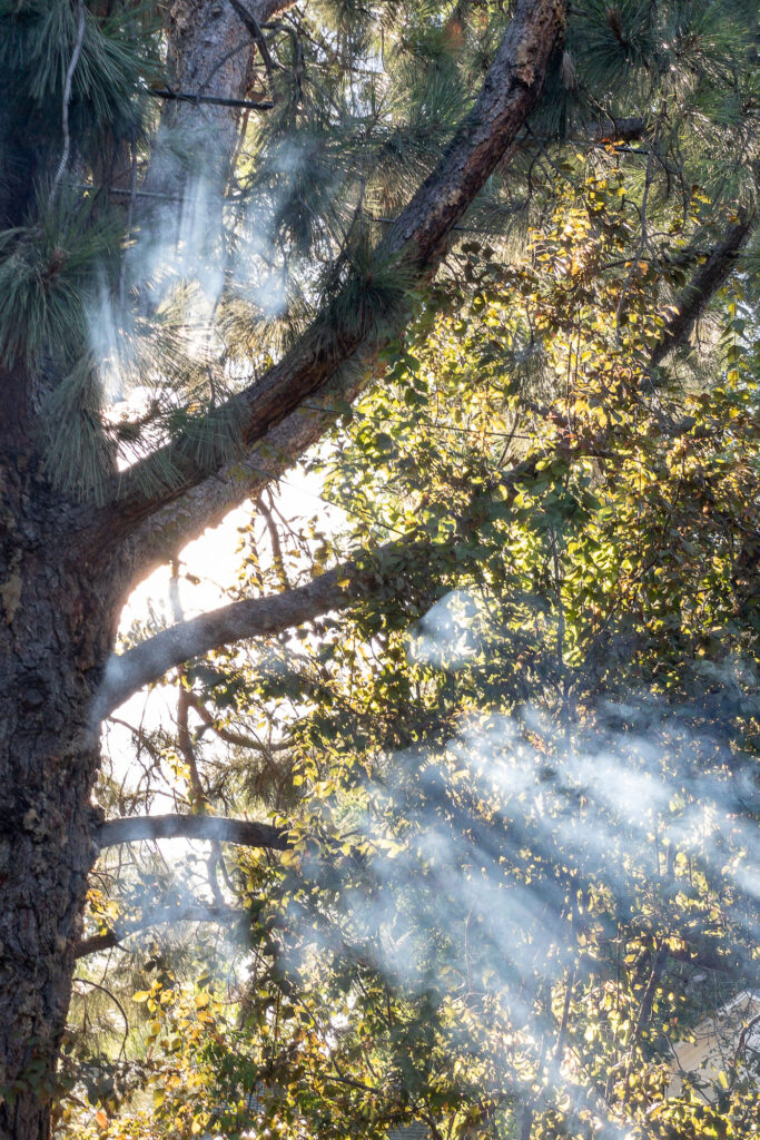 Photograph; Sun rays through smoke from a BBQ.