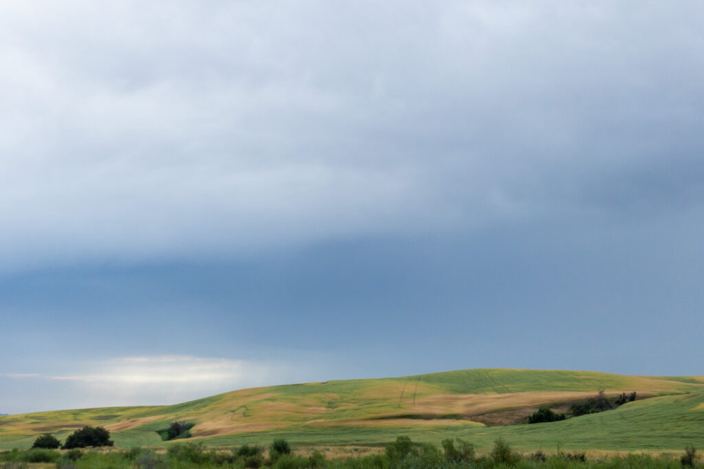 Photograph; rain clouds over the Palouse in summer.