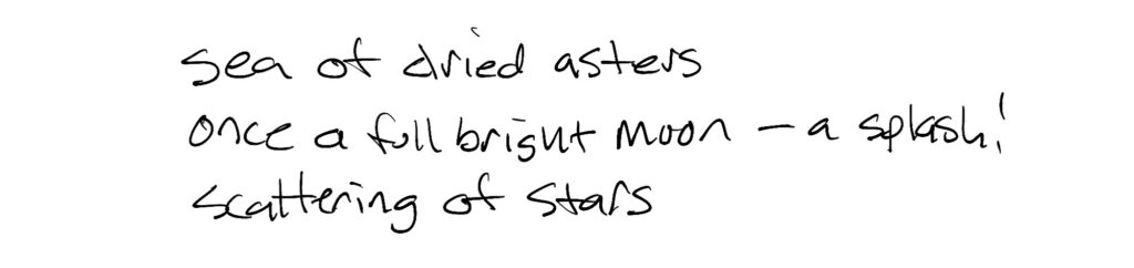 Haiku; sea of dried asters / once a full bright moon —a splash! / scattering of stars
