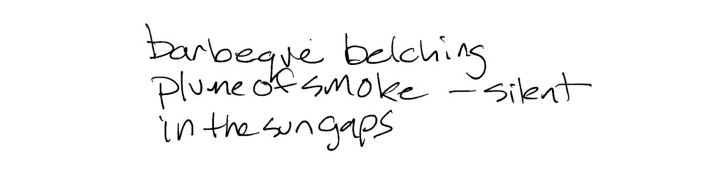 Haiku; Barbeque belching / plume of smoke -silent / in the sun gaps