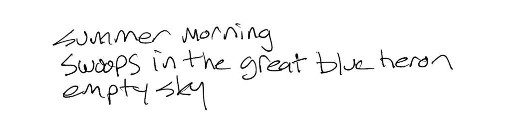 Haiku; summer morning / swoops in the great blue heron / empty sky