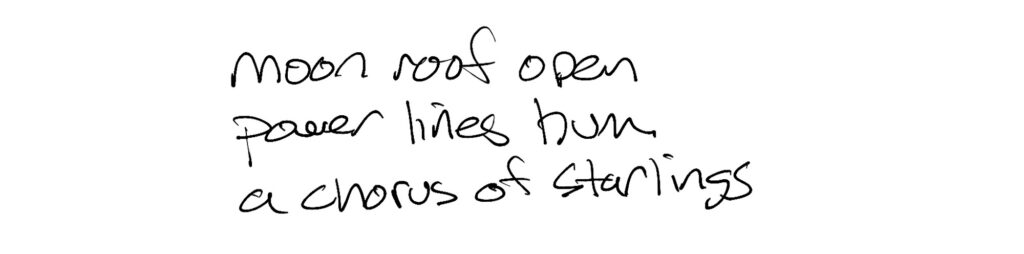 Haiku; moon roof open / power lines hum  / a chorus of starlings