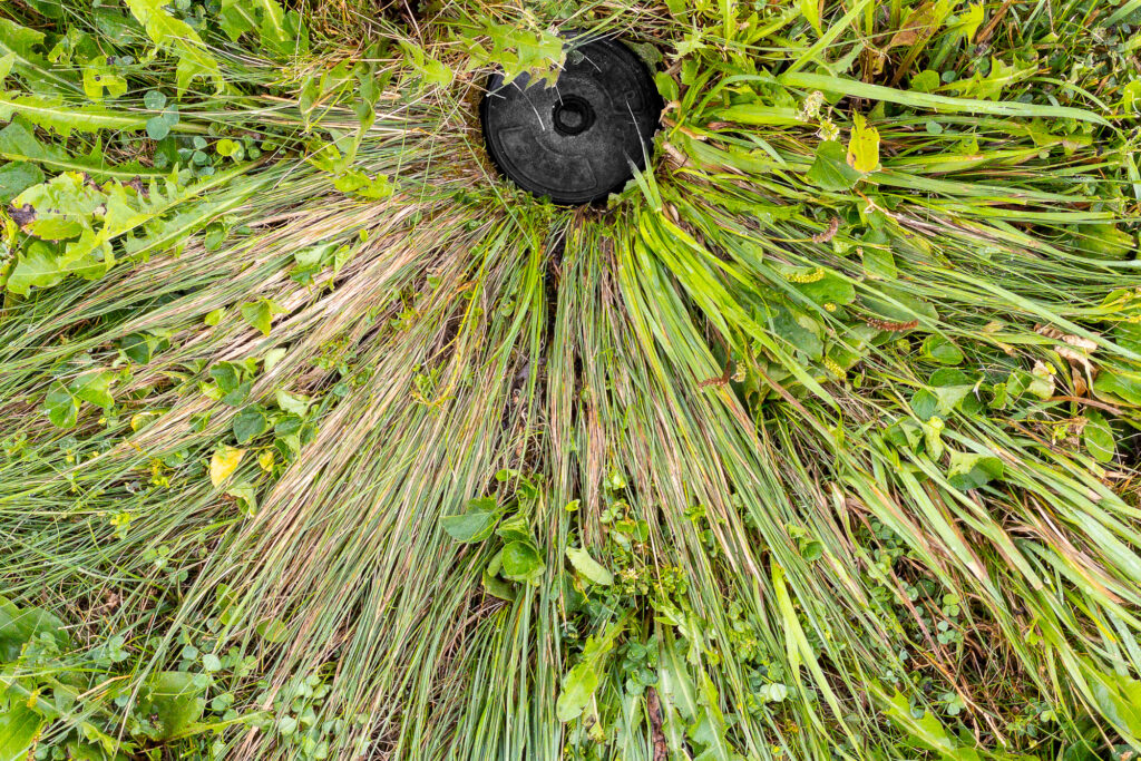 Photograph; a sprinkler head and fattened grasses.